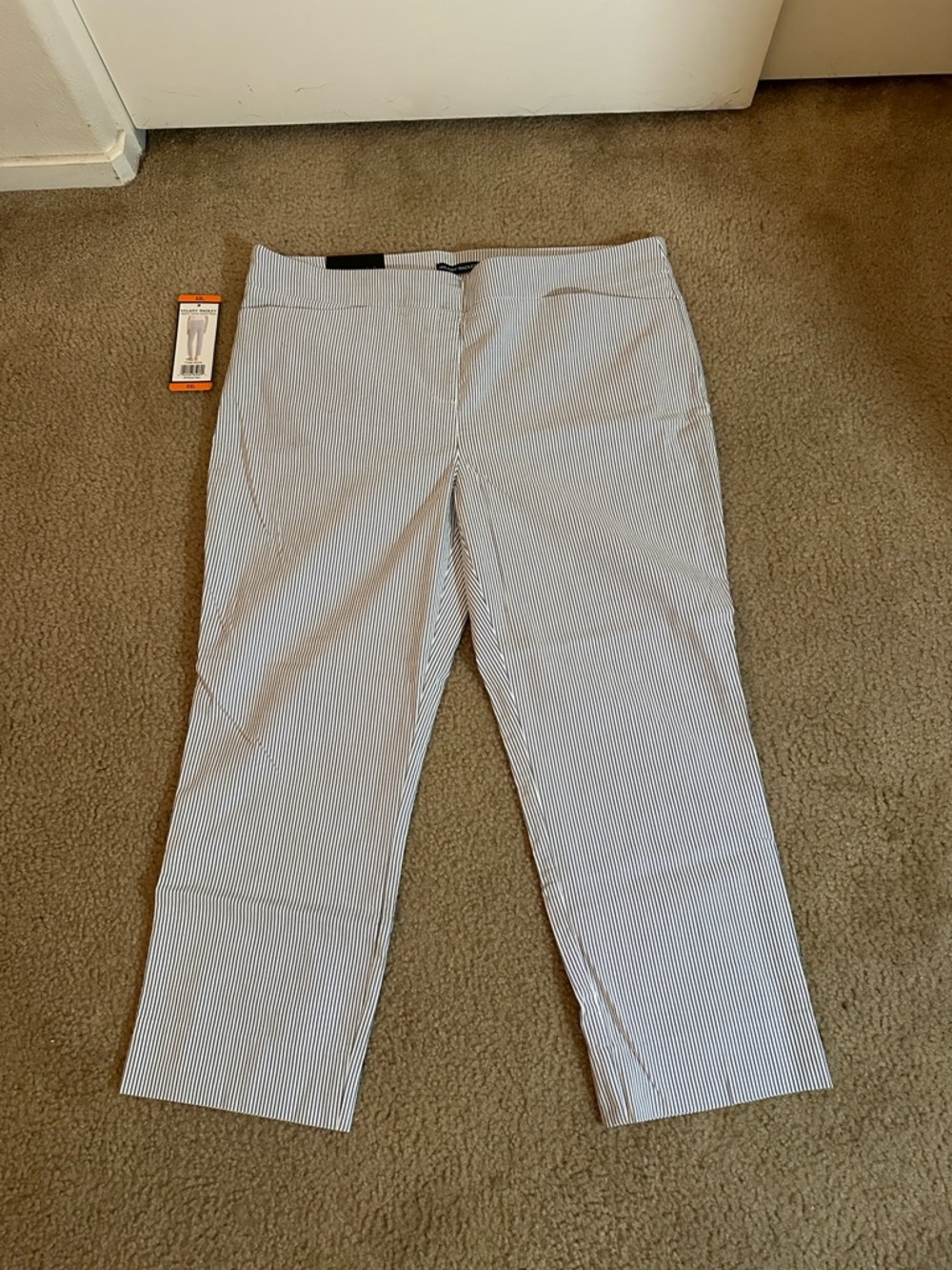 Hilary Radley Navy and White Pinstripe Pants